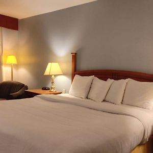 Metro Inn